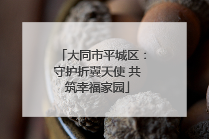 大同市平城区：守护折翼天使 共筑幸福家园