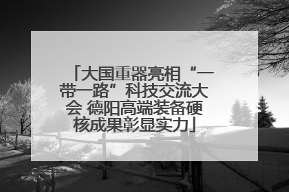 大国重器亮相“一带一路”科技交流大会 德阳高端装备硬核成果彰显实力