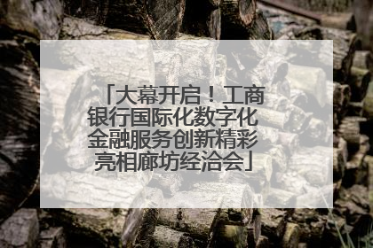 大幕开启！工商银行国际化数字化金融服务创新精彩亮相廊坊经洽会