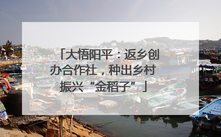 大悟阳平：返乡创办合作社，种出乡村振兴“金稻子”