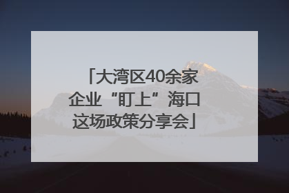 大湾区40余家企业“盯上”海口这场政策分享会