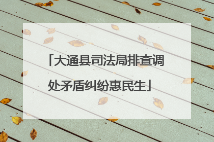 大通县司法局排查调处矛盾纠纷惠民生