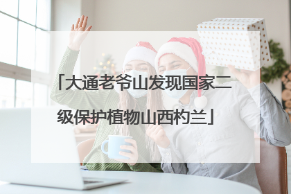 大通老爷山发现国家二级保护植物山西杓兰