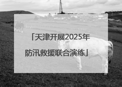 天津开展2025年防汛救援联合演练