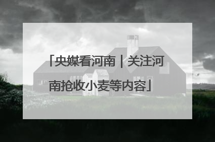 央媒看河南｜关注河南抢收小麦等内容