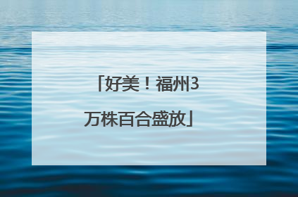 好美！福州3万株百合盛放