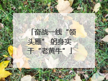 奋战一线“领头雁” 躬身实干“老黄牛”