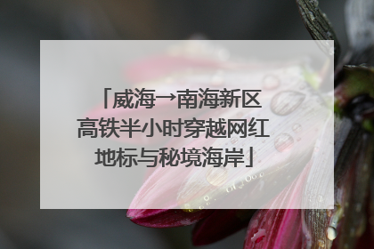 威海→南海新区 高铁半小时穿越网红地标与秘境海岸