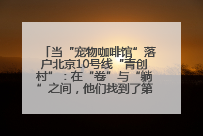 当“宠物咖啡馆”落户北京10号线“青创村”：在“卷”与“躺”之间，他们找到了第三种生活公式