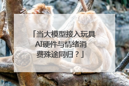 当大模型接入玩具 AI硬件与情绪消费殊途同归？