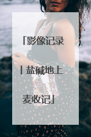 影像记录丨盐碱地上麦收记