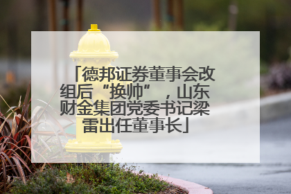 德邦证券董事会改组后“换帅”，山东财金集团党委书记梁雷出任董事长