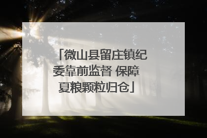 微山县留庄镇纪委靠前监督 保障夏粮颗粒归仓