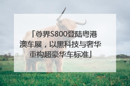 尊界S800登陆粤港澳车展，以黑科技与奢华重构超豪华车标准