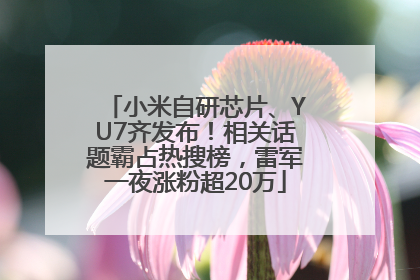 小米自研芯片、YU7齐发布！相关话题霸占热搜榜，雷军一夜涨粉超20万