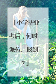 小学毕业考后，何时派位、报到？