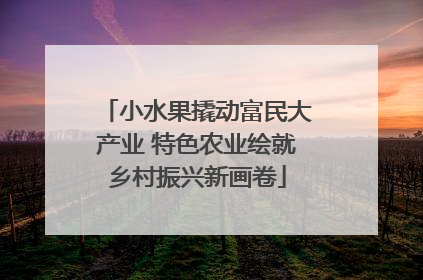 小水果撬动富民大产业 特色农业绘就乡村振兴新画卷