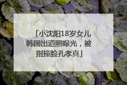 小沈阳18岁女儿韩国出道照曝光，被指撞脸孔孝真