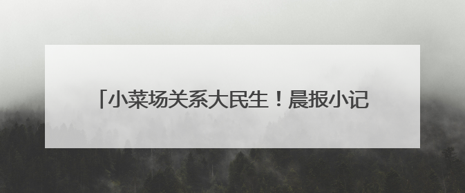 小菜场关系大民生！晨报小记者体验“小小市场监管员”