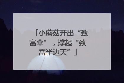 小蘑菇开出“致富伞”，撑起“致富半边天”