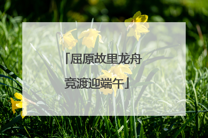 屈原故里龙舟竞渡迎端午