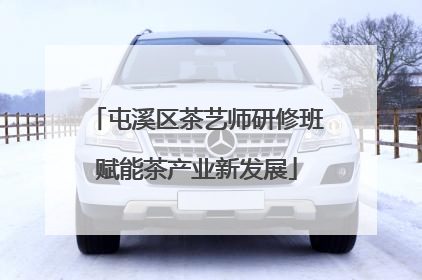 屯溪区茶艺师研修班赋能茶产业新发展