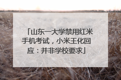 山东一大学禁用红米手机考试，小米王化回应：并非学校要求