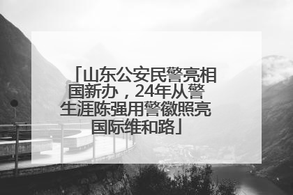 山东公安民警亮相国新办，24年从警生涯陈强用警徽照亮国际维和路