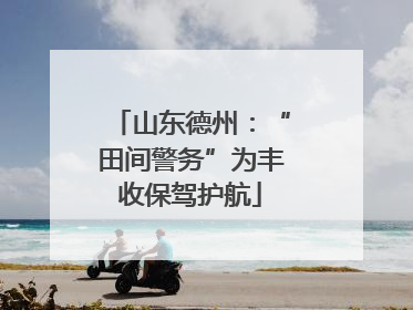 山东德州：“田间警务”为丰收保驾护航