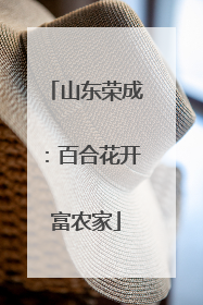 山东荣成：百合花开富农家
