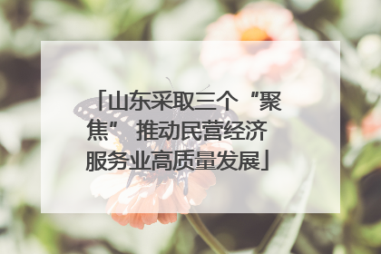 山东采取三个“聚焦” 推动民营经济服务业高质量发展