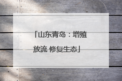 山东青岛：增殖放流 修复生态