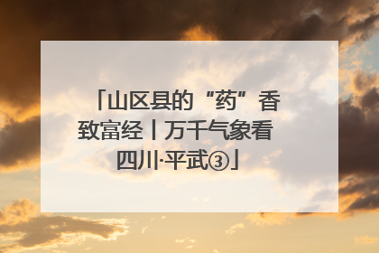 山区县的“药”香致富经丨万千气象看四川·平武③