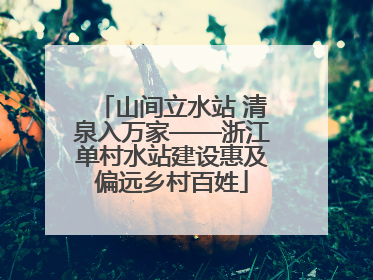 山间立水站 清泉入万家——浙江单村水站建设惠及偏远乡村百姓