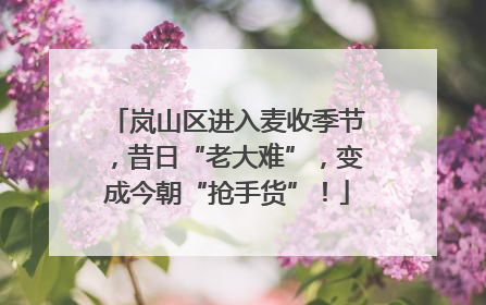 岚山区进入麦收季节，昔日“老大难”，变成今朝“抢手货”！