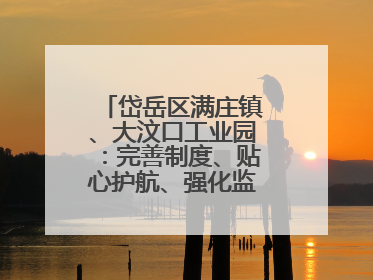 岱岳区满庄镇、大汶口工业园：完善制度、贴心护航、强化监管，打造优质营商“强磁场”