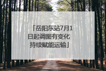 岳阳东站7月1日起调图有变化 持续赋能运输