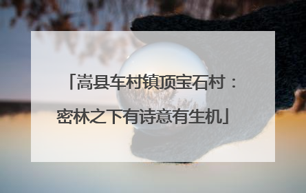 嵩县车村镇顶宝石村：密林之下有诗意有生机