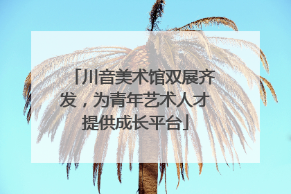 川音美术馆双展齐发，为青年艺术人才提供成长平台