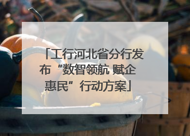 工行河北省分行发布“数智领航 赋企惠民”行动方案