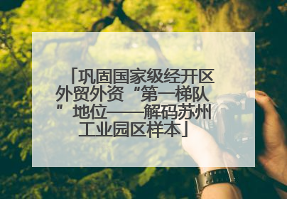 巩固国家级经开区外贸外资“第一梯队”地位——解码苏州工业园区样本