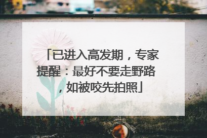 已进入高发期，专家提醒：最好不要走野路，如被咬先拍照