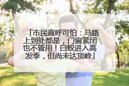 市民直呼可怕：马路上到处都是，门窗紧闭也不管用！白蚁进入高发季，但尚未达顶峰