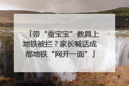 带“蚕宝宝”教具上地铁被拦？家长喊话成都地铁“网开一面”