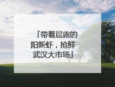 带着晨露的阳新虾，抢鲜武汉大市场