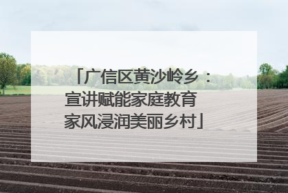 广信区黄沙岭乡：宣讲赋能家庭教育 家风浸润美丽乡村