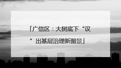 广信区：大树底下“议”出基层治理新图景