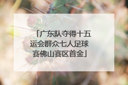 广东队夺得十五运会群众七人足球赛佛山赛区首金