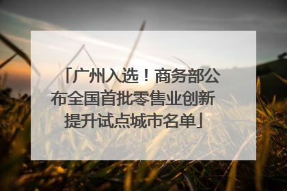广州入选！商务部公布全国首批零售业创新提升试点城市名单
