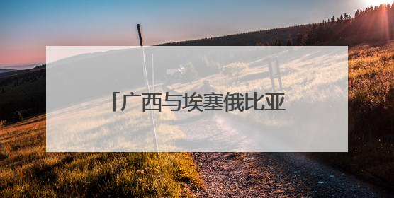 广西与埃塞俄比亚开展经贸合作交流